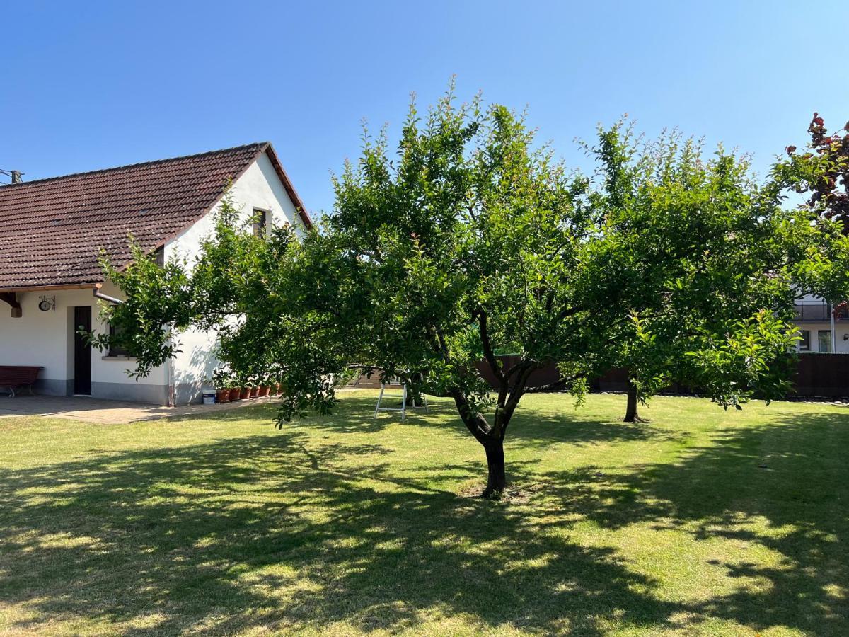 Bonne Idee - Suite Georgette - Meuble De Tourisme 3 Etoiles Châtenois 외부 사진